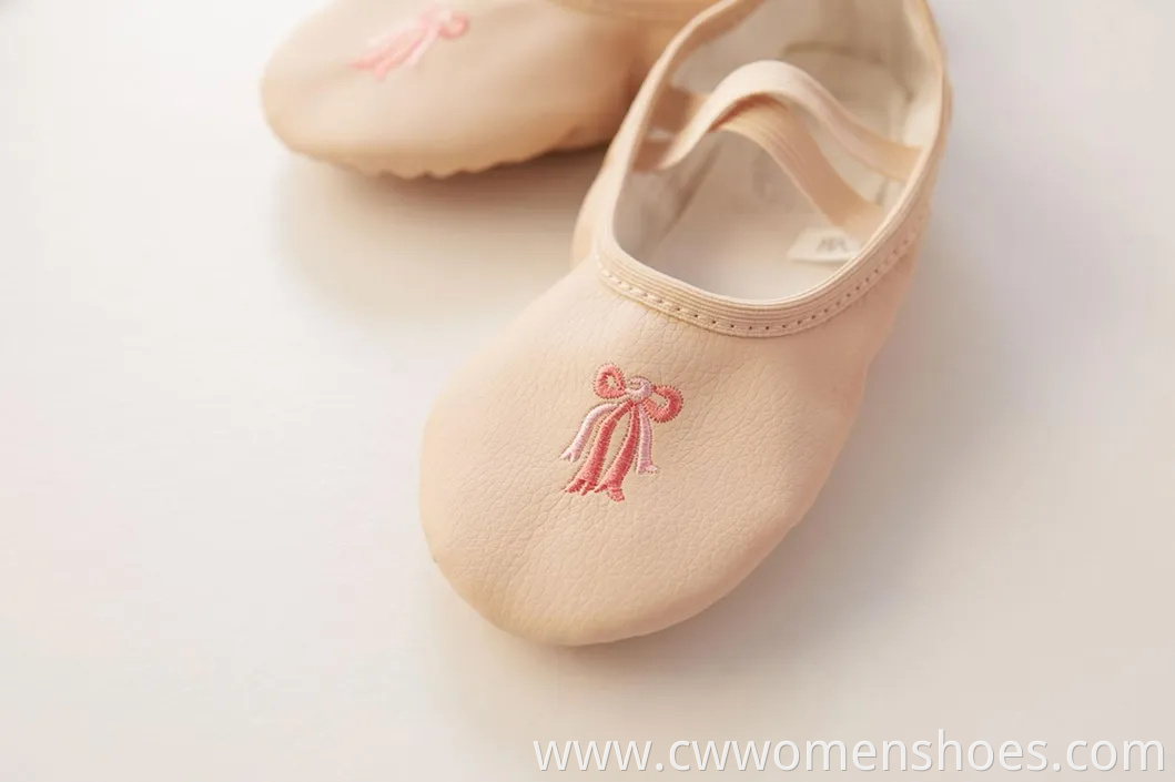 Stylish E5013 Canvas Split Sole Ballet Dance Shoes for Women
